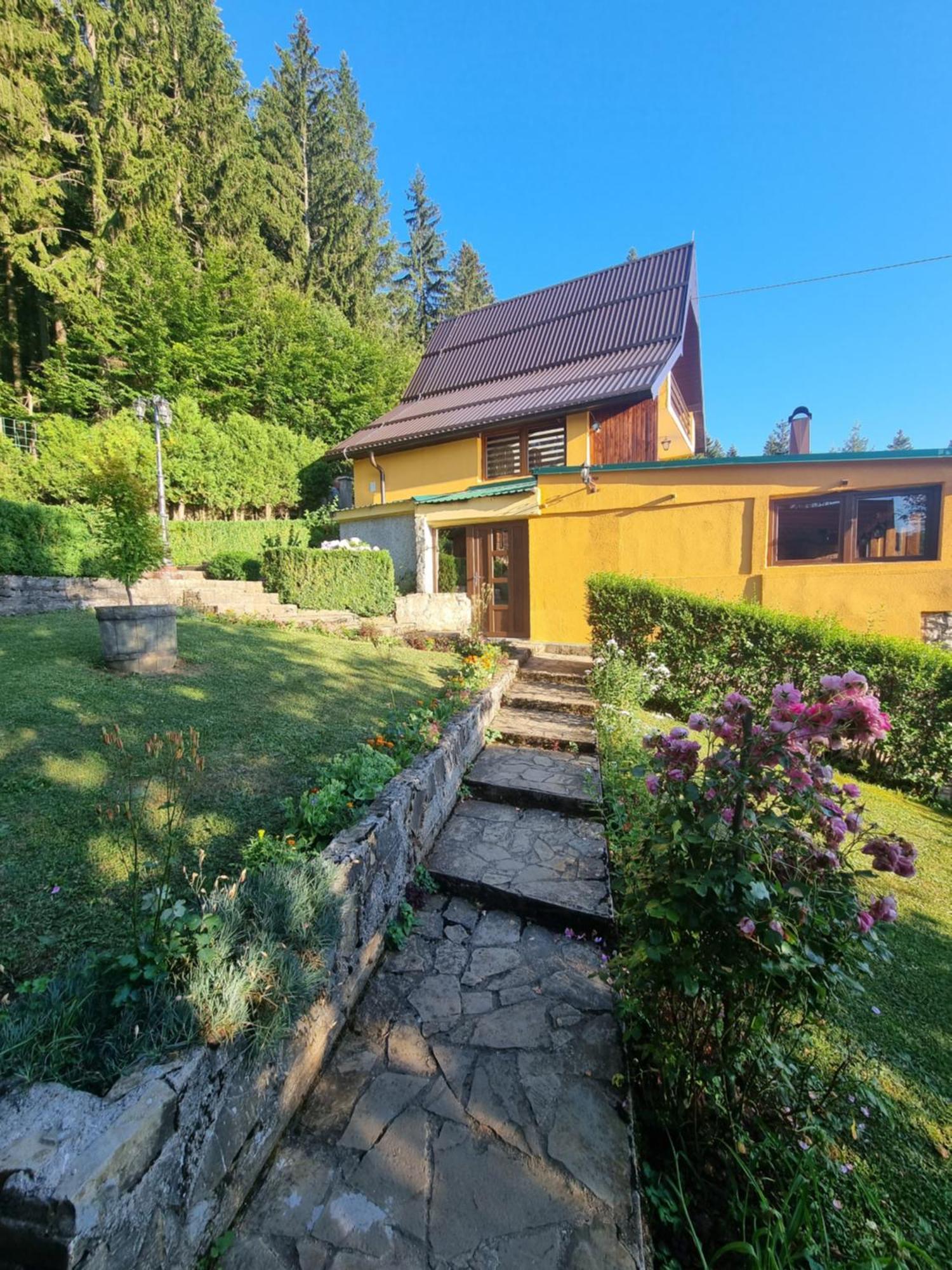 Green Forest Vlasic Exterior foto